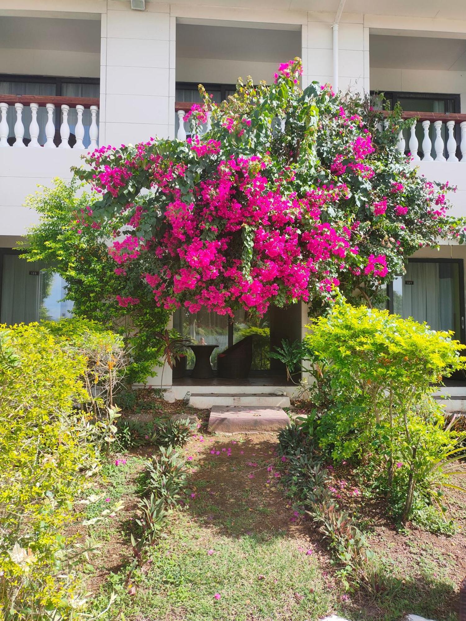 Nadi Fancy Hotel المظهر الخارجي الصورة