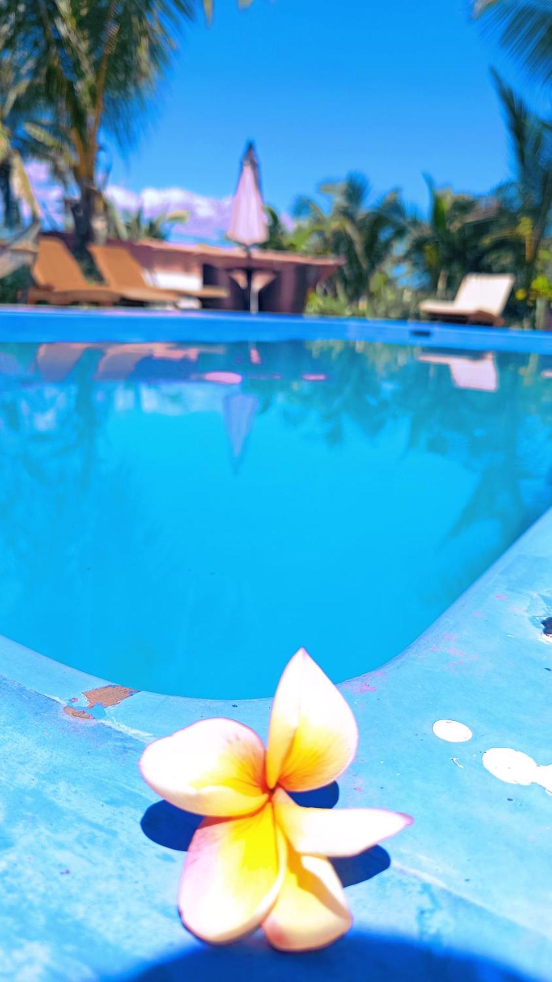 Nadi Fancy Hotel المظهر الخارجي الصورة